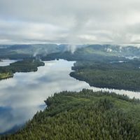 Aerial view of Southeast Alaska's Tongass National Forest during flight from Prince of Wales Island to Ketchikan. 