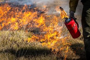 A lit, red drip-torch is carried past a row of flames in a grassy area. 