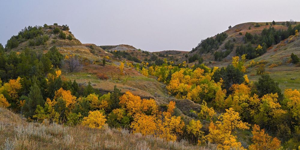 Fall color in Theodore Roosevelt National Park.