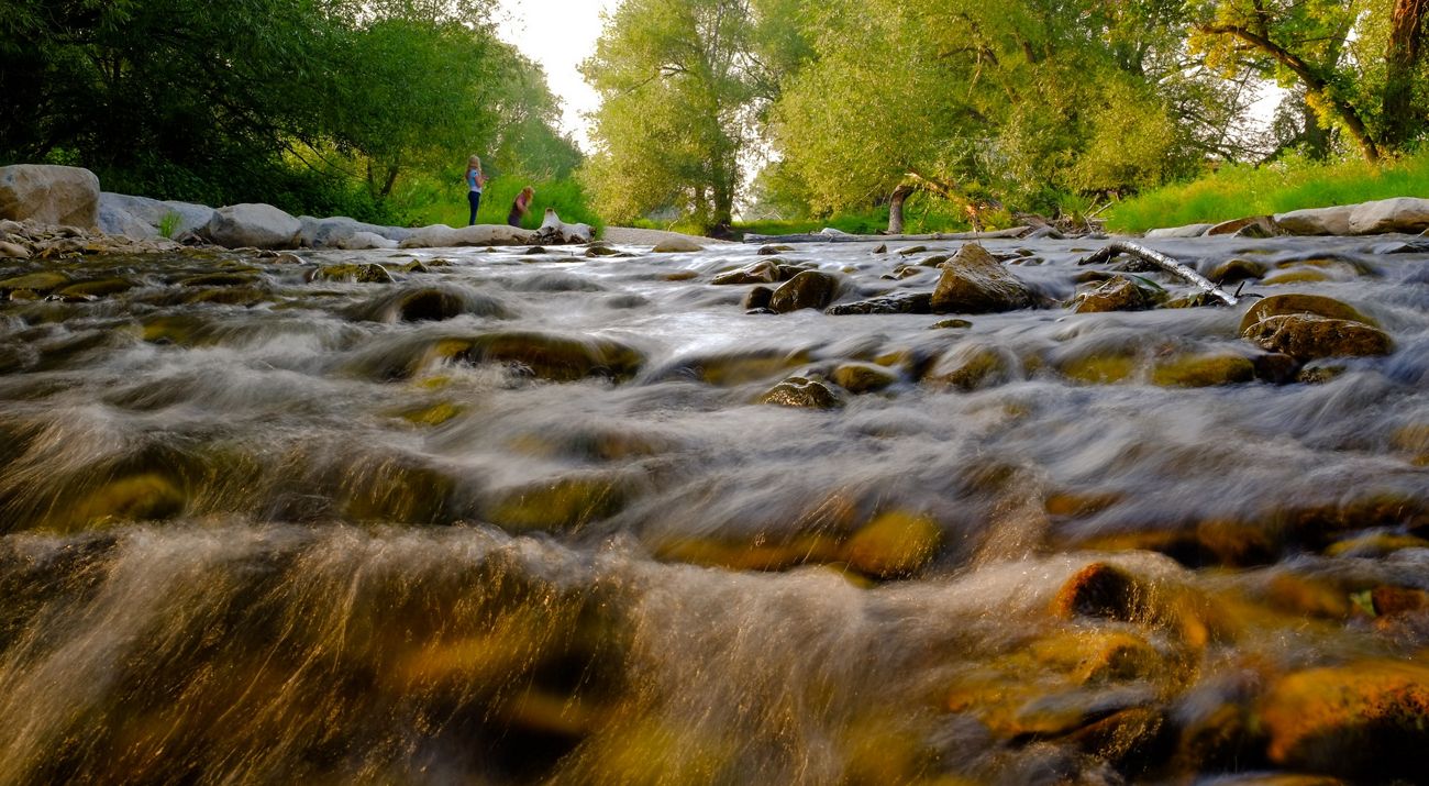 Two people on the banks of a rocky river lined by trees.