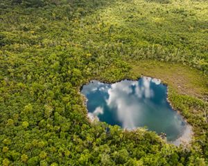 Vista aérea del bosque tropical con una piscina de agua azul que refleja las nubes en el cielo