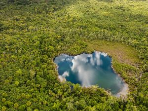 Vista aérea del bosque tropical con una piscina de agua azul que refleja las nubes en el cielo