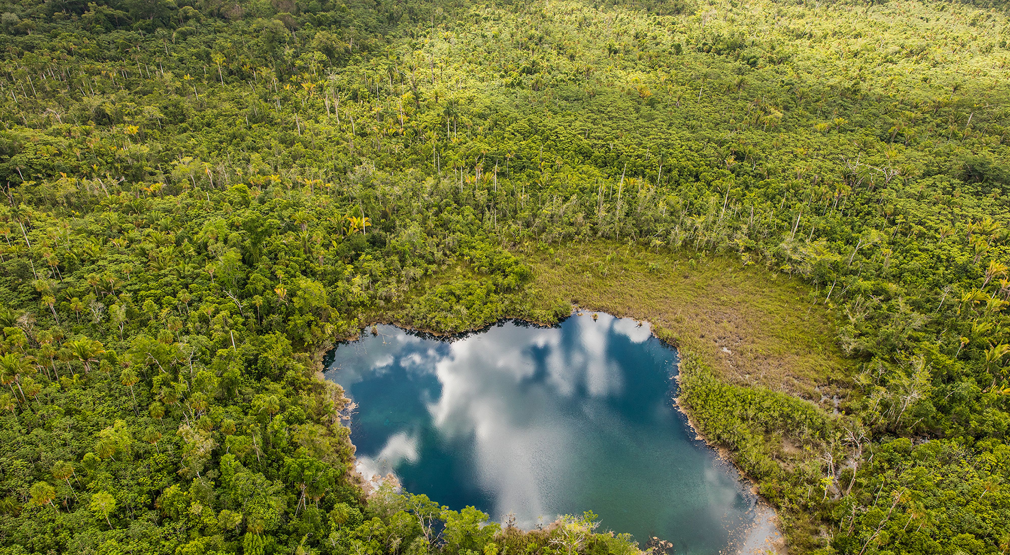 An aerial view of Cara Blanca Pool 19, one of 24 cenotes that support a rich diversity of fish, wildlife and archaeological sites.