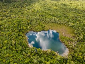 aerial view of tropical forest with a blue water pool reflecting clouds in the sky