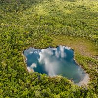 Imagen aérea de la selva en Belice