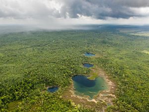 Aerial view of a pond in the Belize Maya Forest.