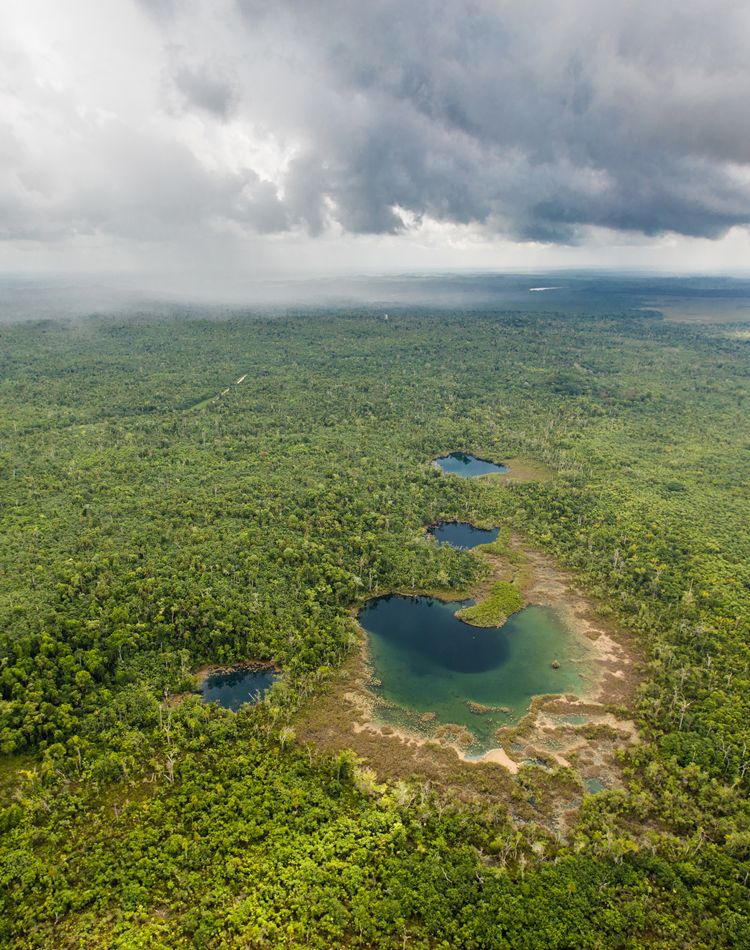 aerial view of tropical forest with blue pools