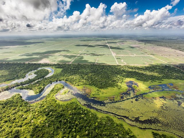 Una vista aérea del encuentro entre las granjas y la selva maya en Belice.