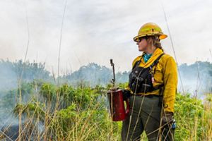 A woman holds a trip torch while monitoring a prescribed fire.