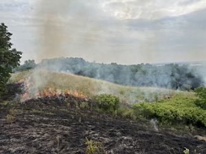 A prescribed fire burns the grass in Loess Hills.