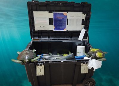 Traveling turtles trunk containing turtle replicas and educational materials designed to teach students in Florida about sea turtles.