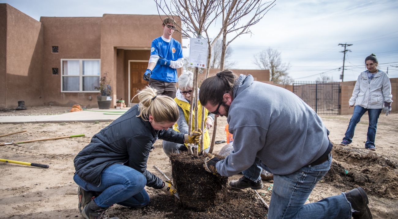 Three people plant a sapling in soil as two other people look on.