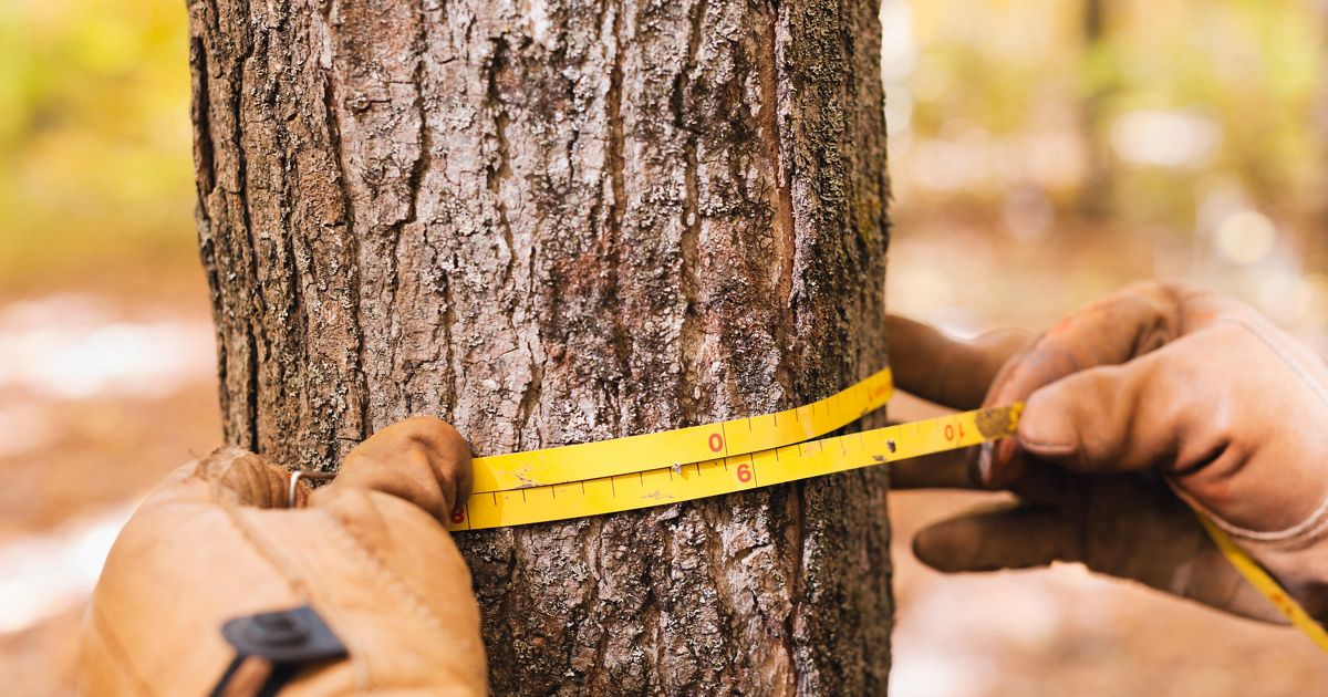 How Conservation Science Guides Us | The Nature Conservancy