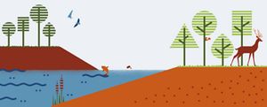 Illustration of trees, water, soil and various wildlife.