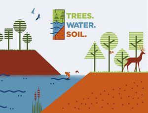 Illustration of birds, fish, squirrels and deer among the trees, water and soil.