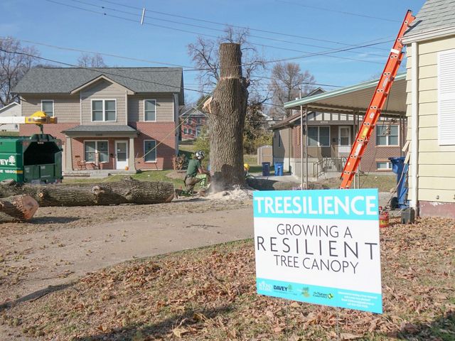 A Treesilience yard sign in front of a house.