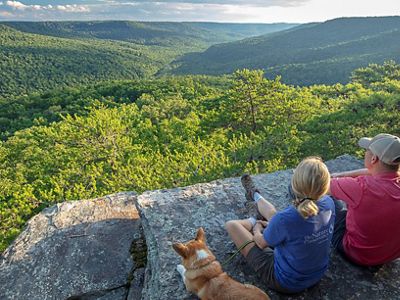 Two people and a dog sit on a rock outcrop to view a vast mountain valley covered in green trees.