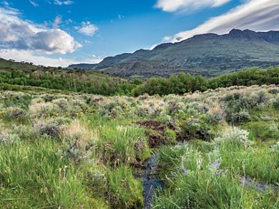 A lush green valley with a small stream leading to butte.
