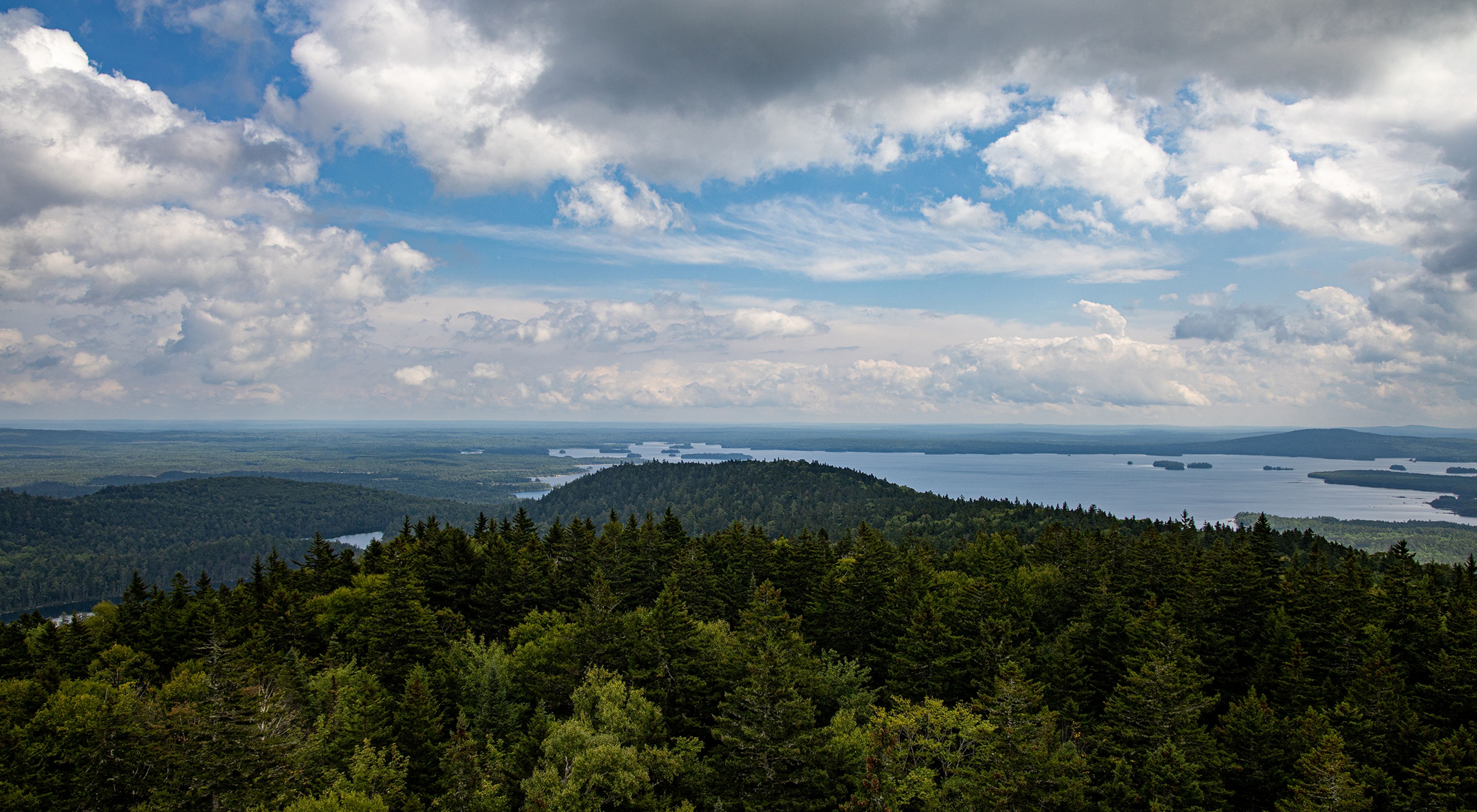 A view of forest and lakes from atop a lush green mountain.
