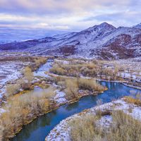 Aerial view of a river curving through cottonwood trees after a recent snowfall.
