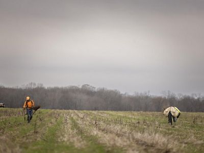 Two people walk through a sparse landscape as they prepare to plan seedlings.