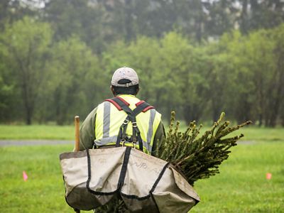 The back view of a man walking with a pickaxe and a bag full of tree saplings.