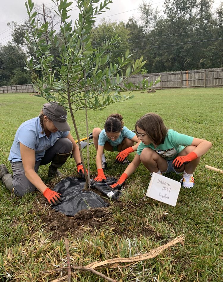 Three volunteers planting a tree.