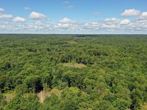 Aerial view of Tug Hill forests.