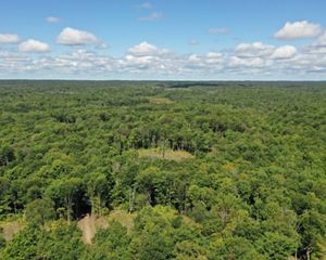 Aerial view of Tug Hill forests.