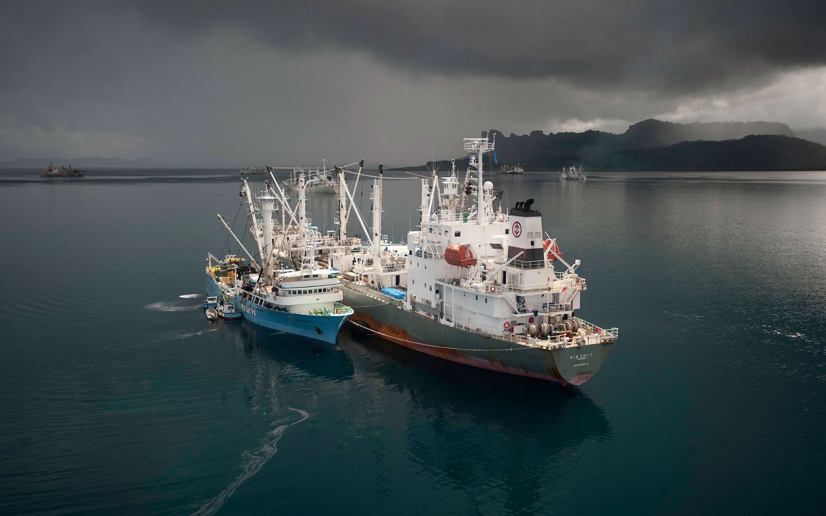 Tuna-fishing boats. Large tuna purse seine fishing boats in Pohnpeian waters off-loading their tuna catches to trampers that will keep the tuna frozen and transport the tuna to ports in China and Japan. © Nick Hall