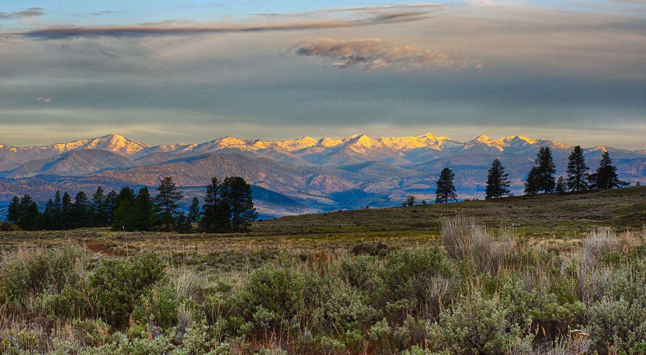 Photo of a brushy meadow in foreground, with sunlit, snow-capped mountains in the background and light clouds above in Washington's Tunk Creek Valley.
