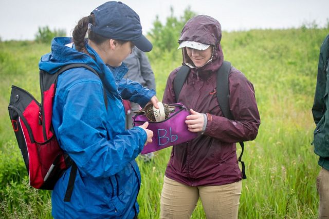 Scientists collecting a turtle.