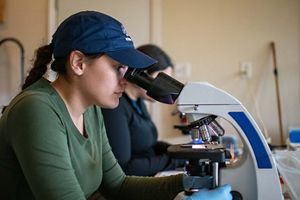 A person looking at a blood sample under a microscope.