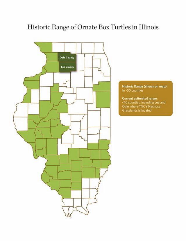 A map of Illinois showing the state's counties. Areas in the northwest, central western and southern parts of the state are colored green.