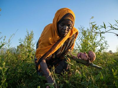 A woman bends over in a field holding sweet potatoes.