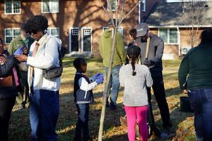 A group of people plant tree saplings at the edge of a residential community.