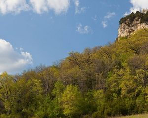 Lower Chippewa River State Natural Area - TNC Addition