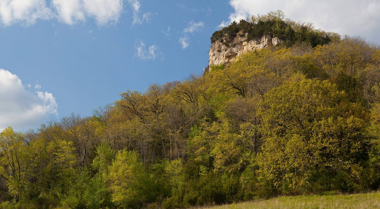 A rocky bluff with green trees along its sides stands tall with blue sky in the background.