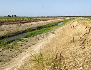 A long ditch with water in it runs between two dirt berms across a vast field.