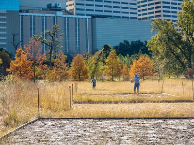 Restoration Projects Director Aaron Tjelmeland plants native seeds at Rice University in Houston, Texas.