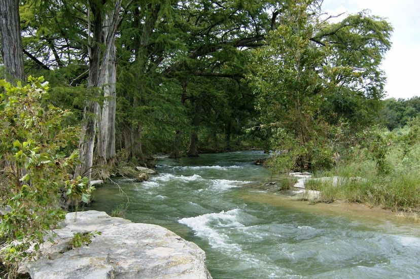 Fast-flowing water in the Pedernales River, Texas with trees on one bank and sand and grassy vegetation on the other.
