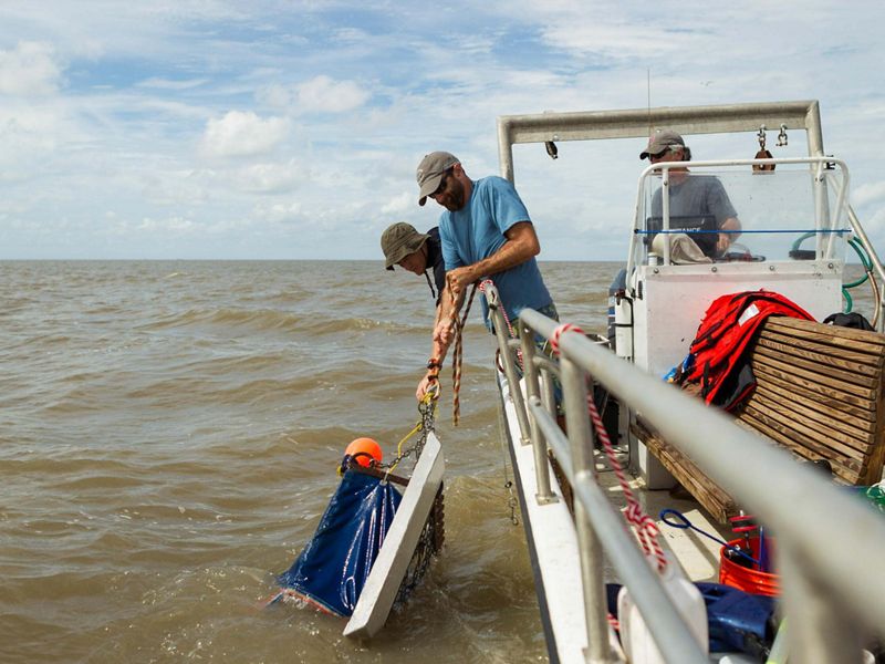 Three men on a boat pull up a sampling net.