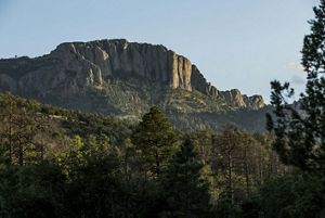 Rocky outcrops and mountains shoot up toward the sky behind a pine forest.