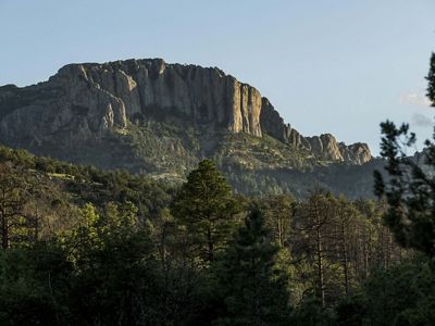 A jagged mountain top rises above dense forest vegetation.