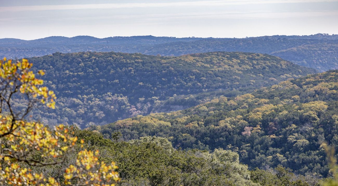 An aerial view of TNC's Love Creek Preserve in Texas