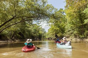 Three kayakers paddle down a muddy river lined with trees.