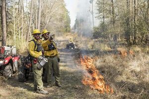 Two men in protective gear discuss burn plans as prescribed fire blazes at the edge of a firebreak. In the distance, a third fire practitioner rides on an ATV, surveying the burn.