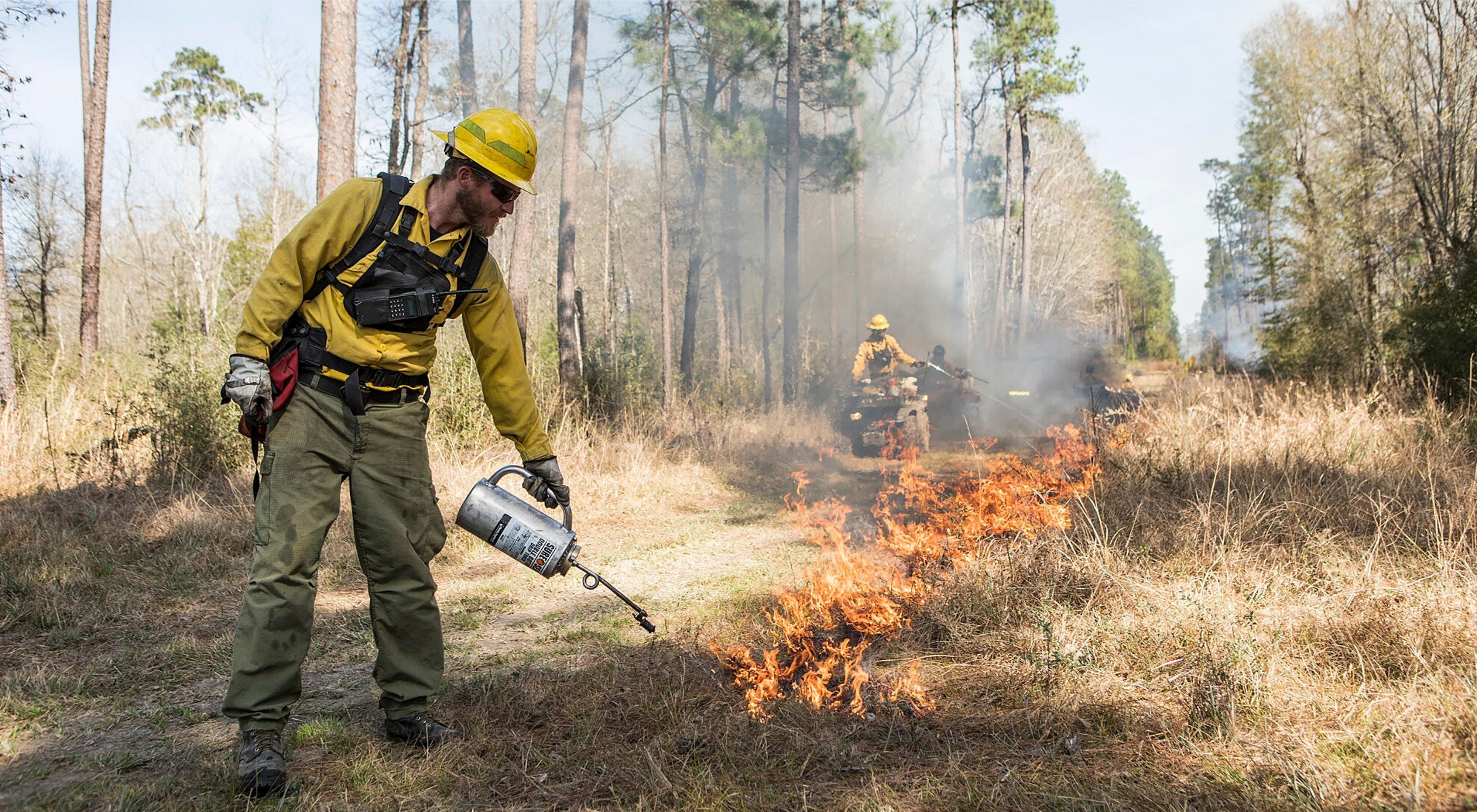 A TNC Texas fire crew member ignites a prescribed burn to consume plant fuels on the forest floor using a drip torch, while two fire practitioners sit on ATV's in the background.