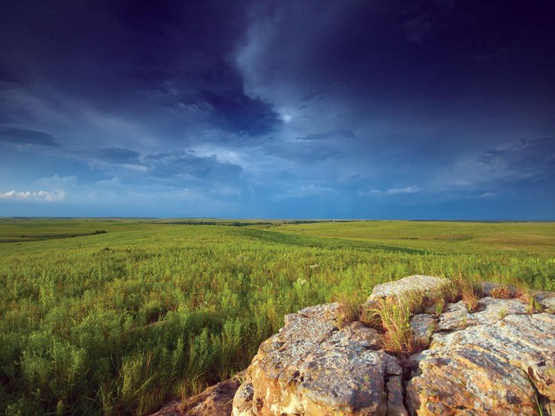 Dark and stormy sky above lush, green grasses and rock outcrop.