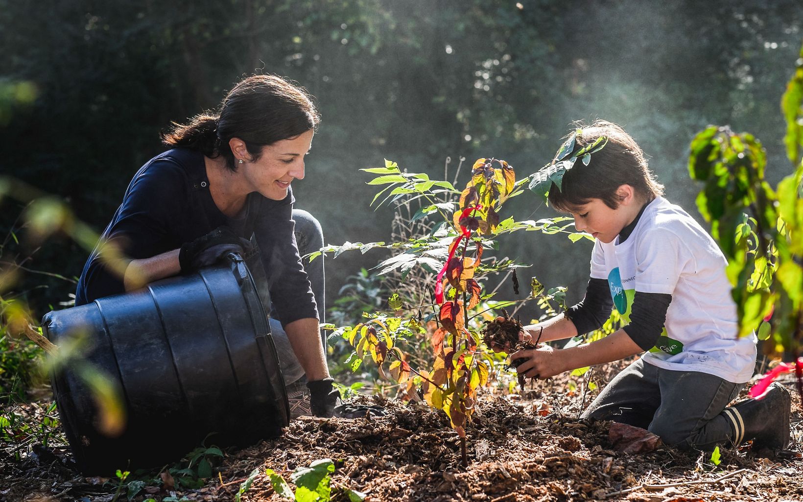 A woman and child plant a seedling on a sunny day.